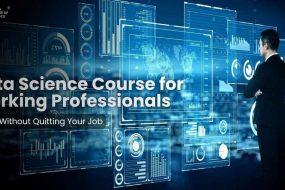 Data Science Course for Working Professionals Upskill Without Quitting Your Job